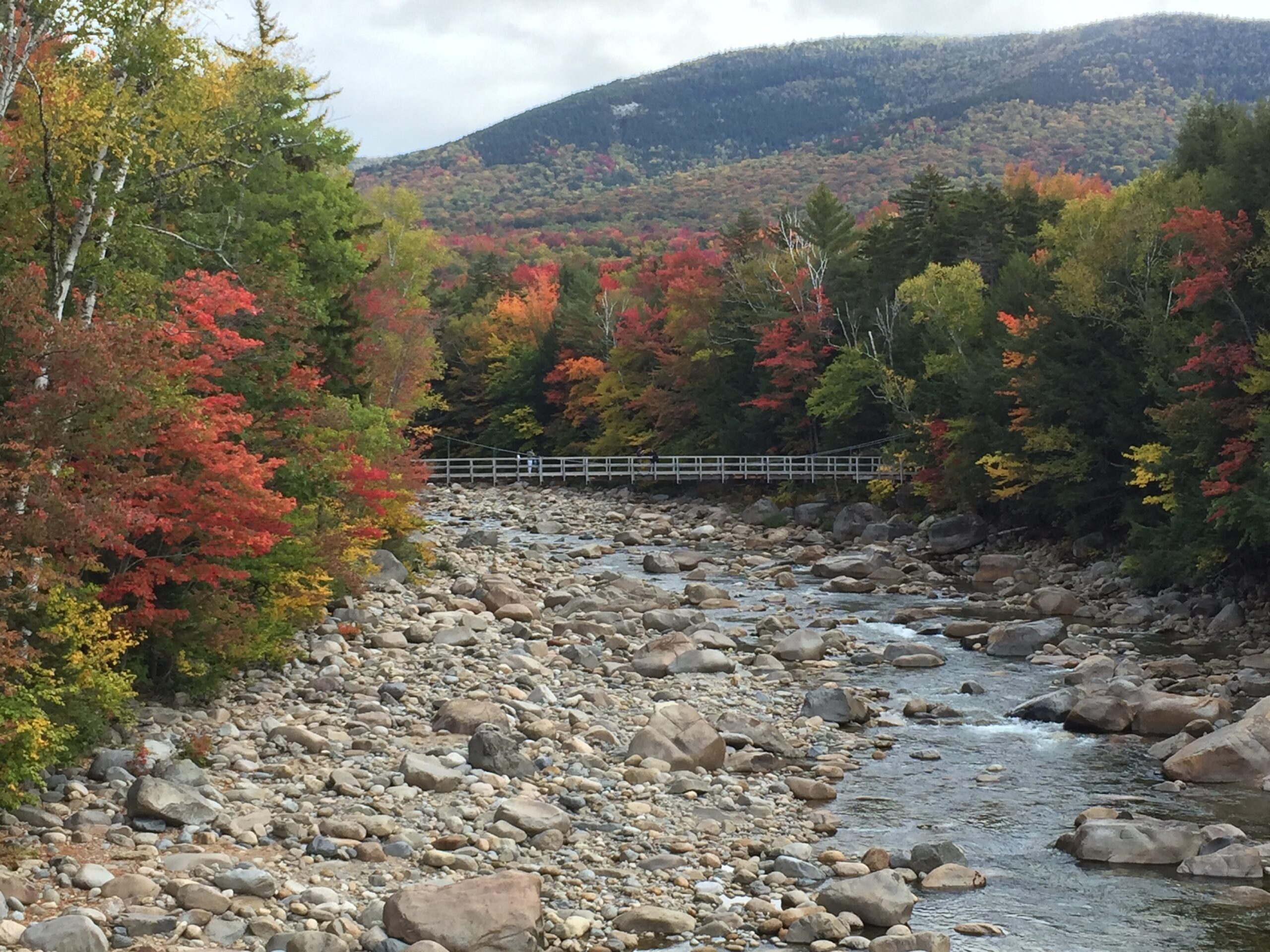 Lincoln Woods Trail - NH